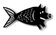 Hogfish logo no text