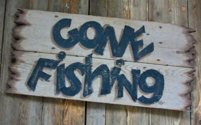 When Your Web Guy Goes AWOL: How Hogfish Studios Can Save the Day!