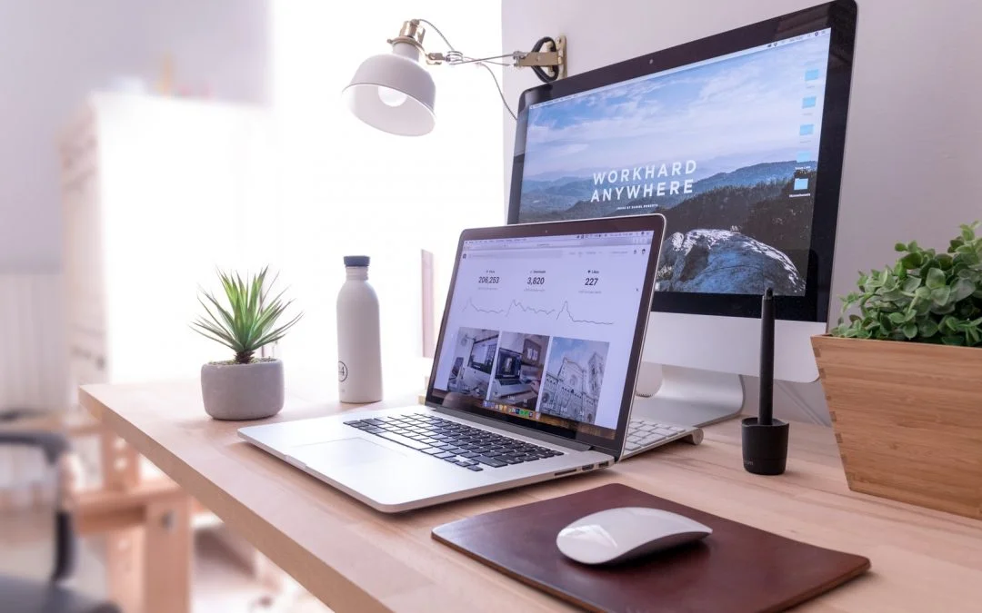 The new Hogfish Studios website